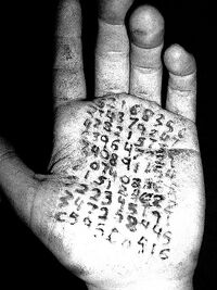 IGEM:IMPERIAL/2007/Dry Lab/Data Analysis