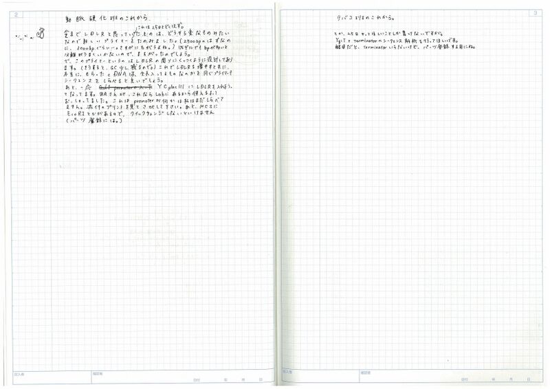 File:IGEM 090825 2.jpg