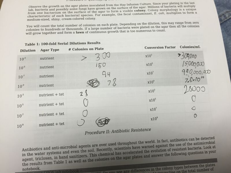 File:IMG 3863 -271005-.JPG