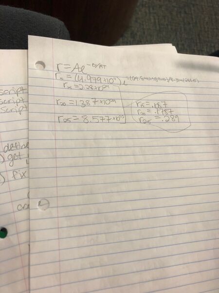 File:IMG 4731 2.jpeg