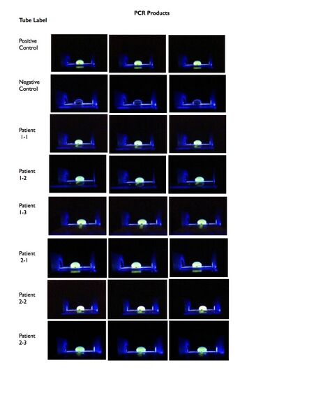 File:PCR reaction tube images Group 27.jpg