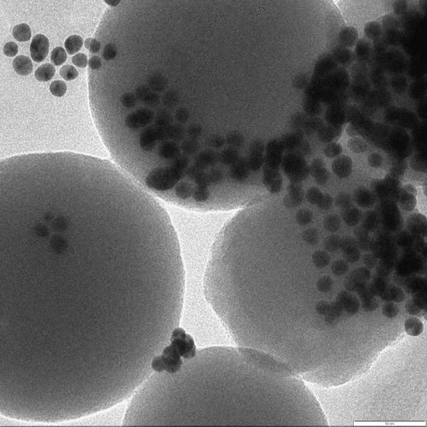 File:10microliter 3.jpg