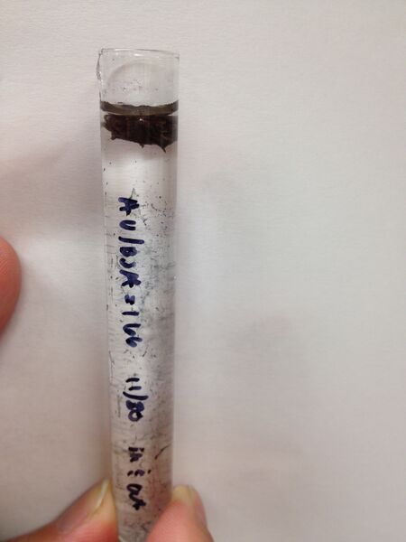 File:166-in and out.JPG