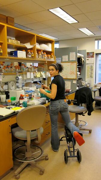 File:197856 10100264191240443 1223199 57625043 7813855 n.jpg