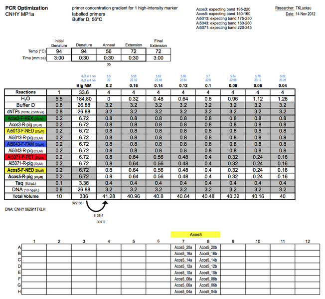 File:20121114 PCRb.png