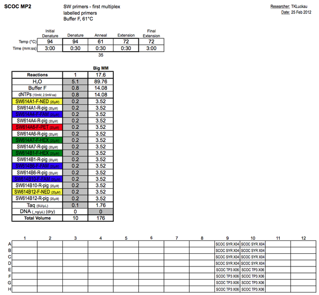 File:20130225 PCRb.png