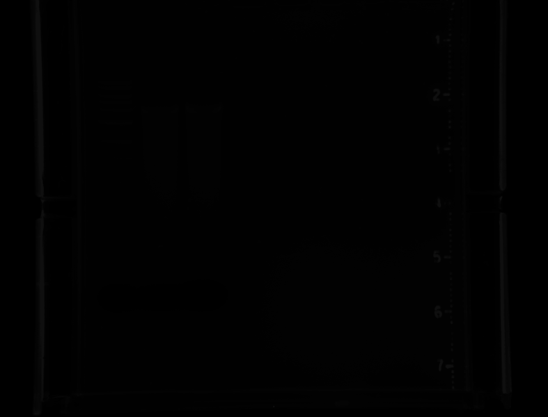 File:6.13 PM Gel.tif