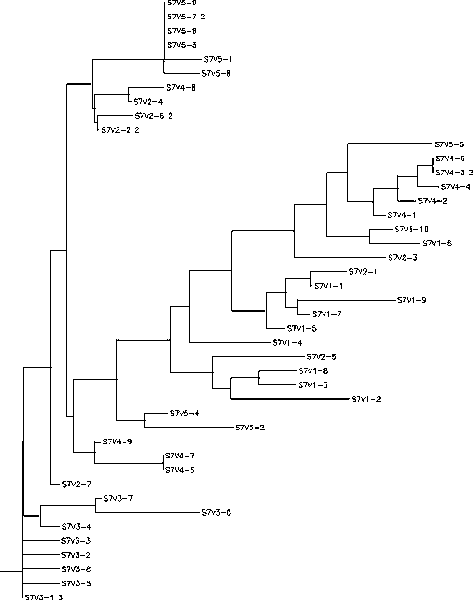 File:CHR image1 20111028.gif