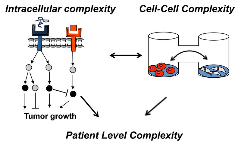 File:OVCA project overview.jpg