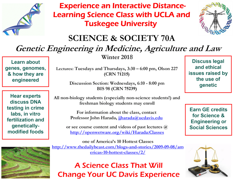 File:SAS 70A Flyer WT2018-1.png