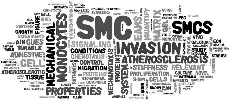 File:Will wordle.jpg