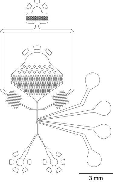 File:50 µm electrosorter.jpg