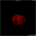 Thumbnail for version as of 01:50, 1 November 2011