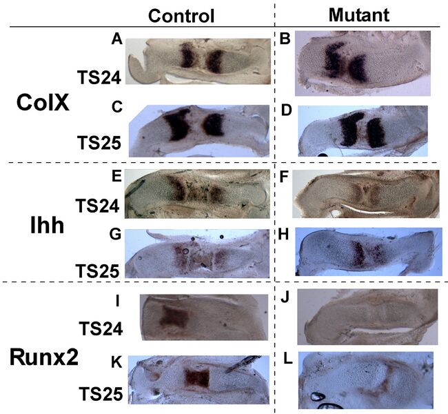 File:Nowlan BMMB.jpg