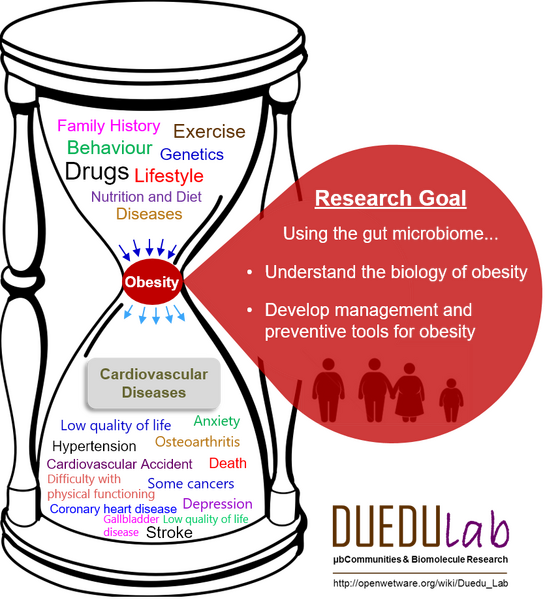 File:Obesity research goal.png