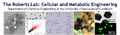 Thumbnail for version as of 14:02, 28 September 2011
