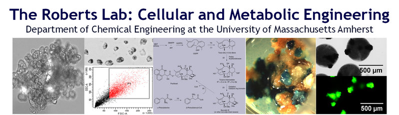 File:RobertsLabMainImage2.png