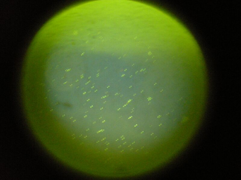 File:S14 TR M3D3 YlwPnk 04.jpg