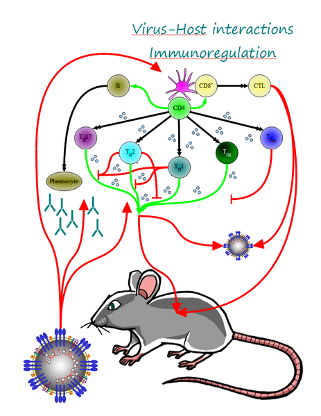 File:Theme Marceau.png