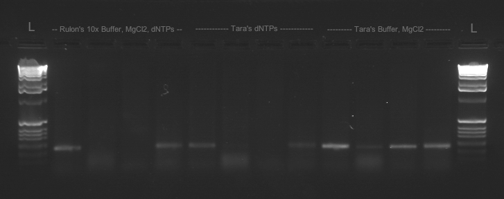 File:20110112 TimberTKL.tif