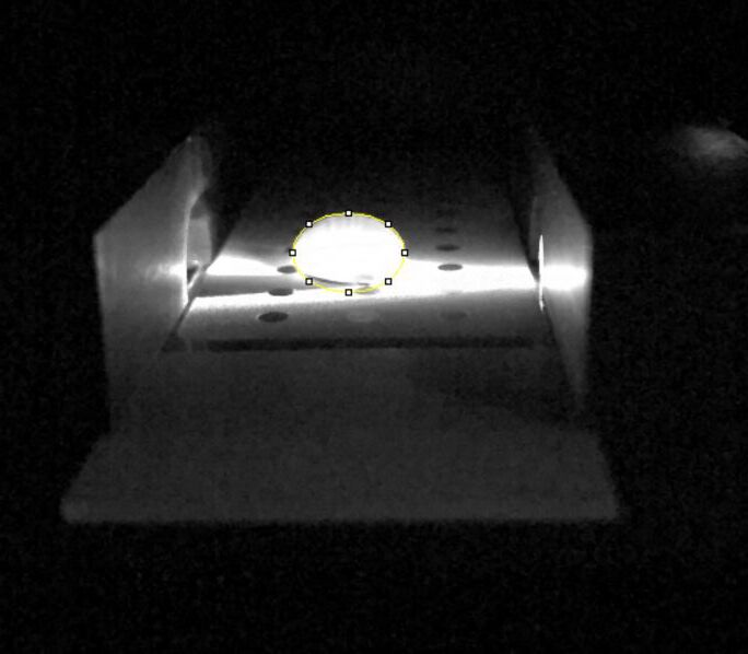 File:BME POSTIVECONTROL.JPG