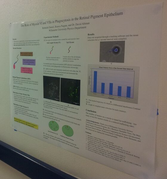 File:Cell Poster Murdock Conference.JPG