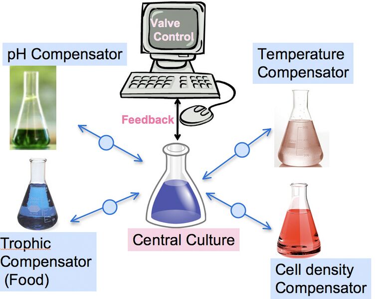 File:II09 CAG Overview.jpg