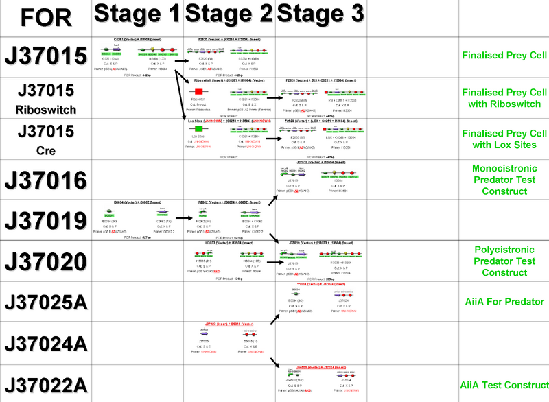File:Ligation Chart.png