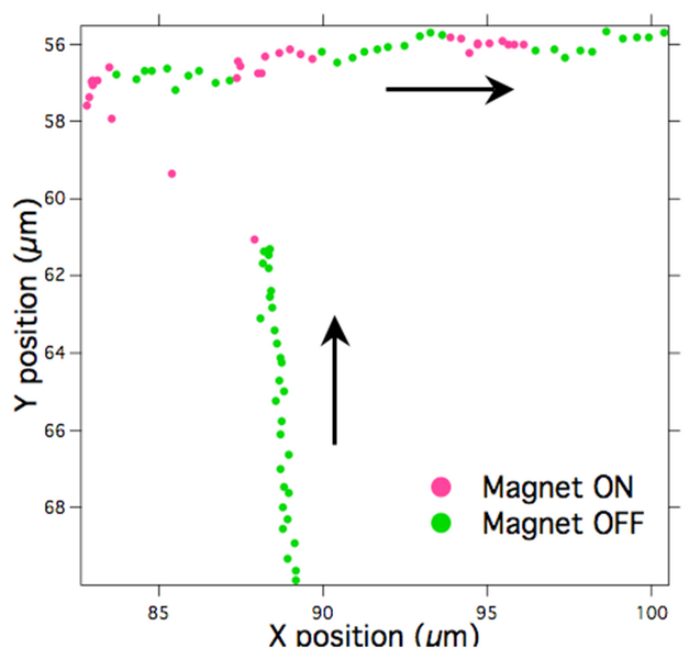 File:MagMT Fig 4a.png