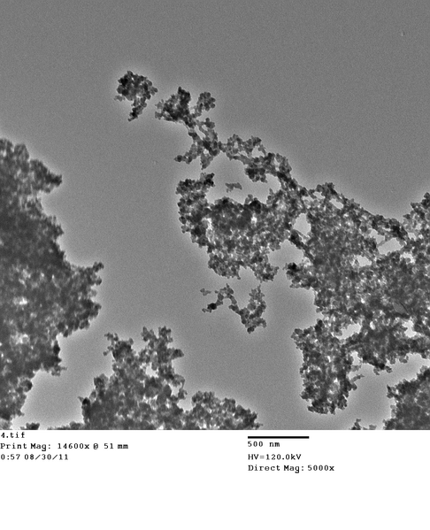 File:Phage SWNTs TiO2 4.tif