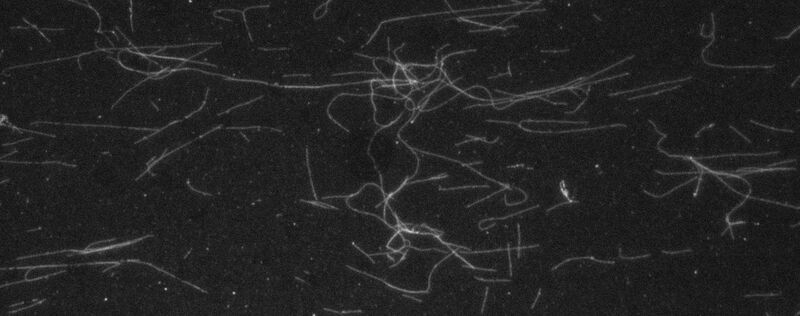 File:Website tester photo.jpg