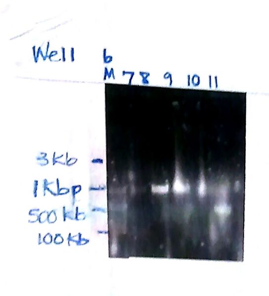 File:2012-10-18 16-31-40 261.jpg