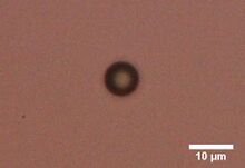 DNA conjugated beads