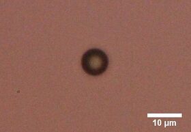 DNA conjugated beads