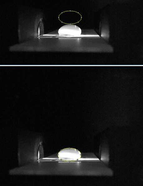 File:Positive control.png