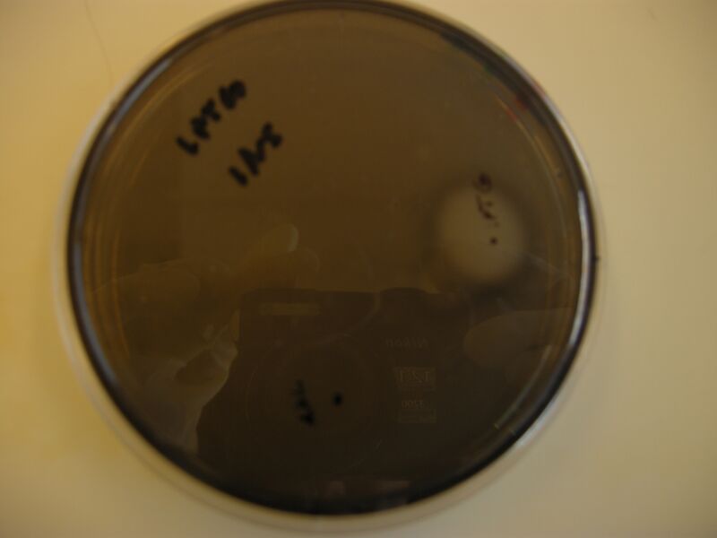 File:109 solid-cult-topview.JPG