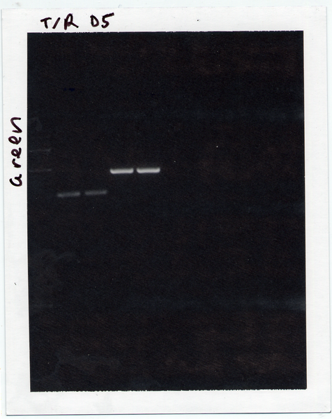 File:20.109-S08-M3D5 TR GB1.tif