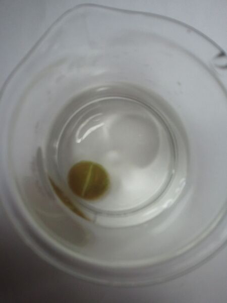 File:2012-11-07 08.38.59.jpg