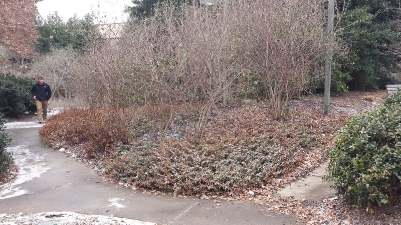 File:20150114 134043.jpg