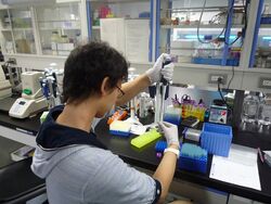 Doing Experiment Again and Again