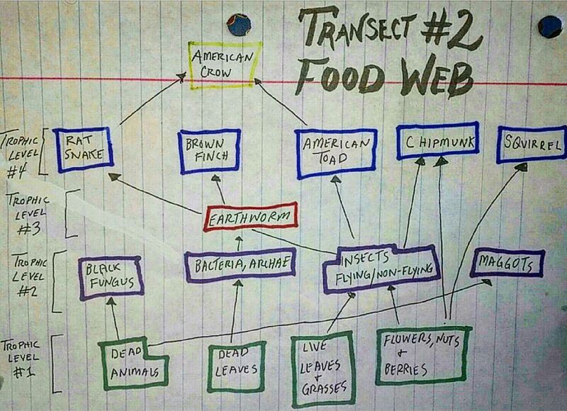 File:BME103 Group54 AUBIO210.jpg