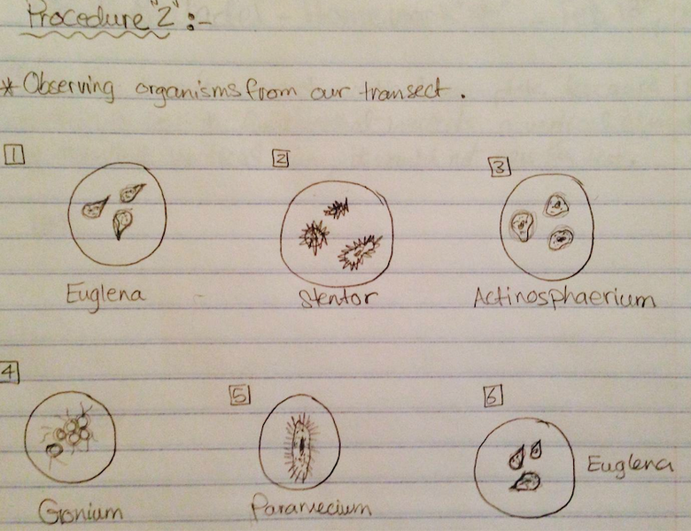 File:Screen Shot 2014-02-16 at 2.11.00 AM.png