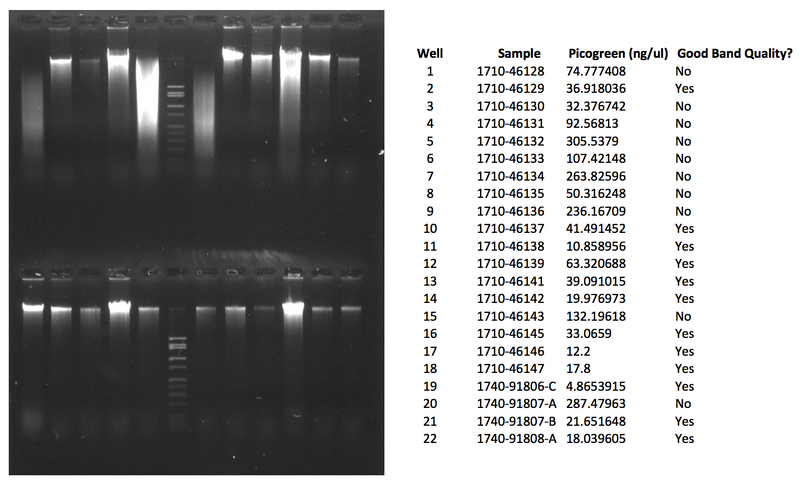 File:WIFL NAU 1710-46128.png