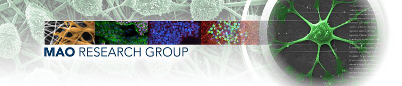 File:Mao Lab Collage.jpg