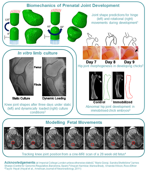 File:Research highlights.tif