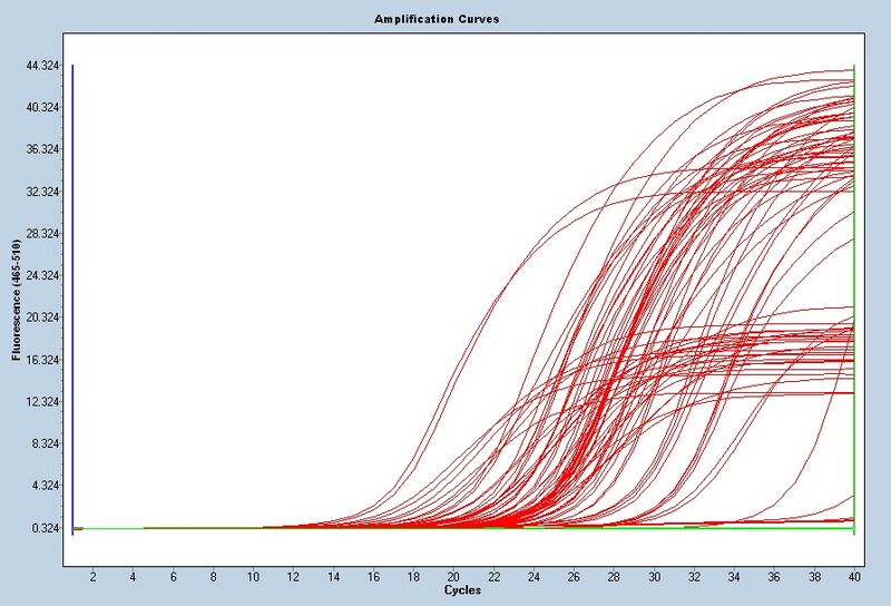 File:S12 M3D5 TR raw.jpg