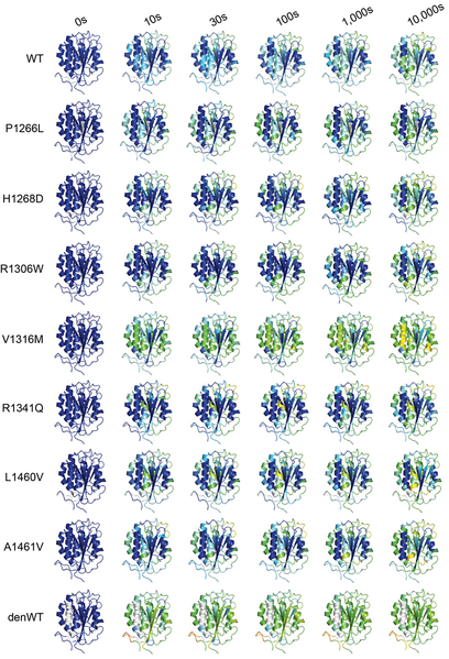 File:088type2B figure.png