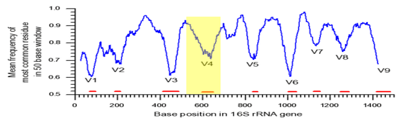 File:16S regions.png