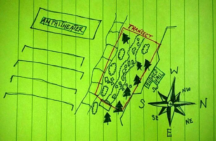Aerial View Diagram of Group #3 Transect
