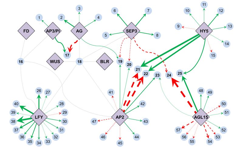 File:Bmcsysbiol-misra-sriram-2013-fig2.jpg